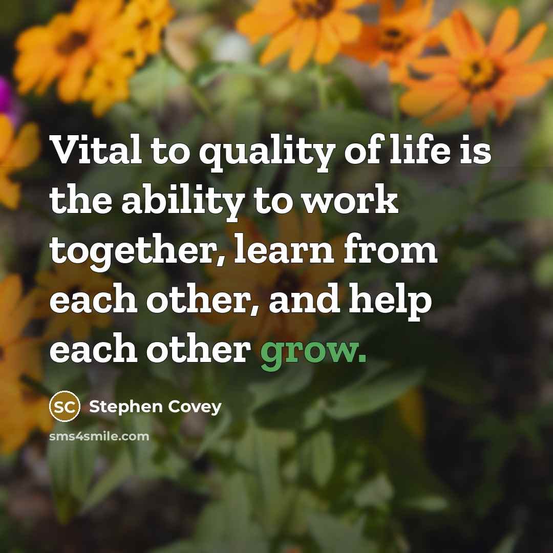 “Vital to quality of life is the ability to work…” quote by Stephen Covey