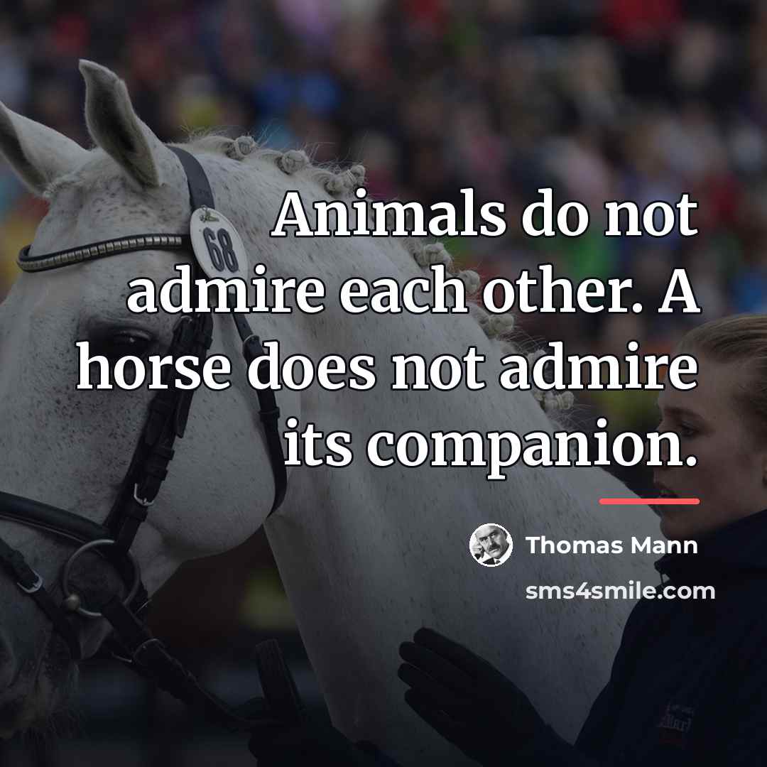“Animals do not admire each other. A horse does not…” quote by Thomas Mann