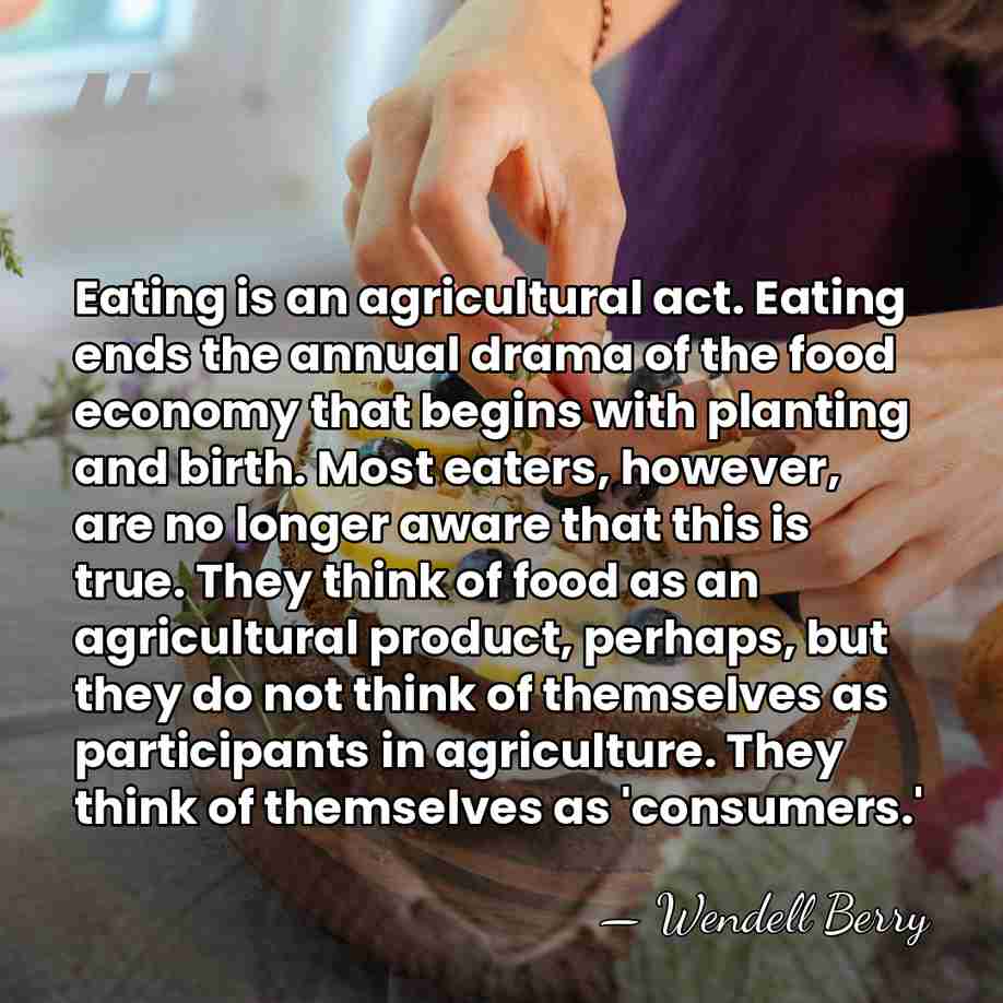 Eating is an agricultural act. Eating ends the annual drama of the&hellip; - Wendell Berry