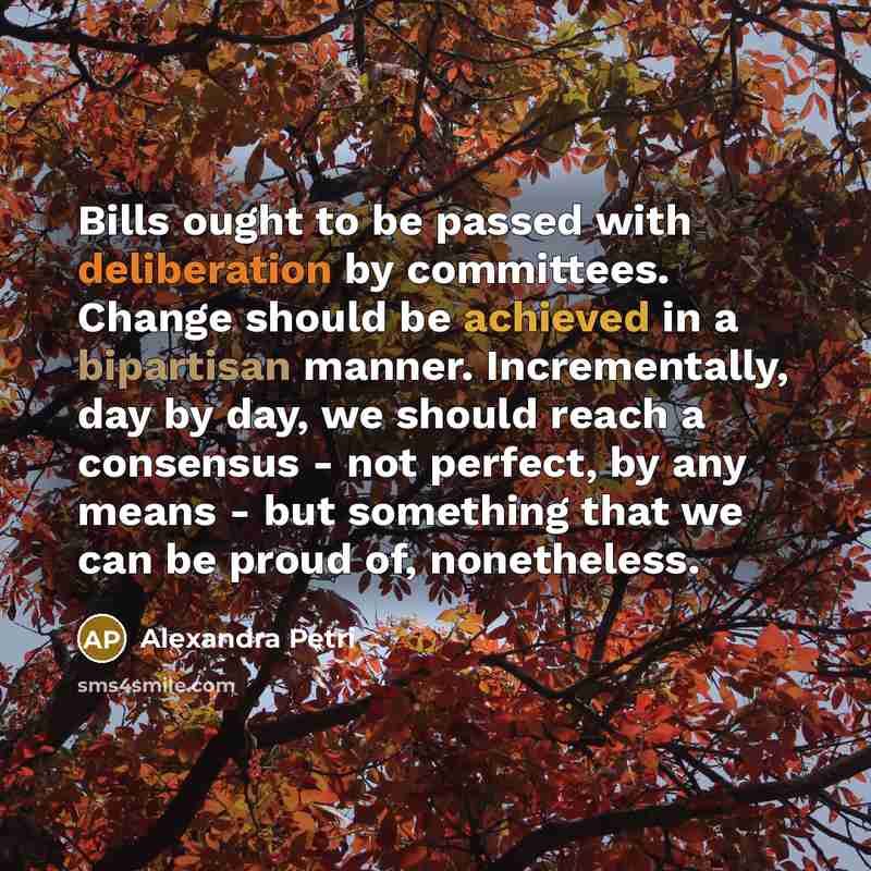 “Bills ought to be passed with deliberation by committees. Change should be achieved in a bipartisan manner. Incrementally, day by day, we should reach a consensus - not perfect, by any means - but something that we can be proud of, nonetheless.” quote by Alexandra Petri