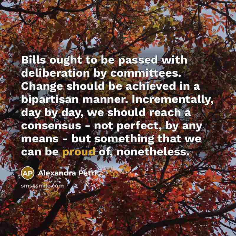 “Bills ought to be passed with deliberation by committees. Change…” quote by Alexandra Petri