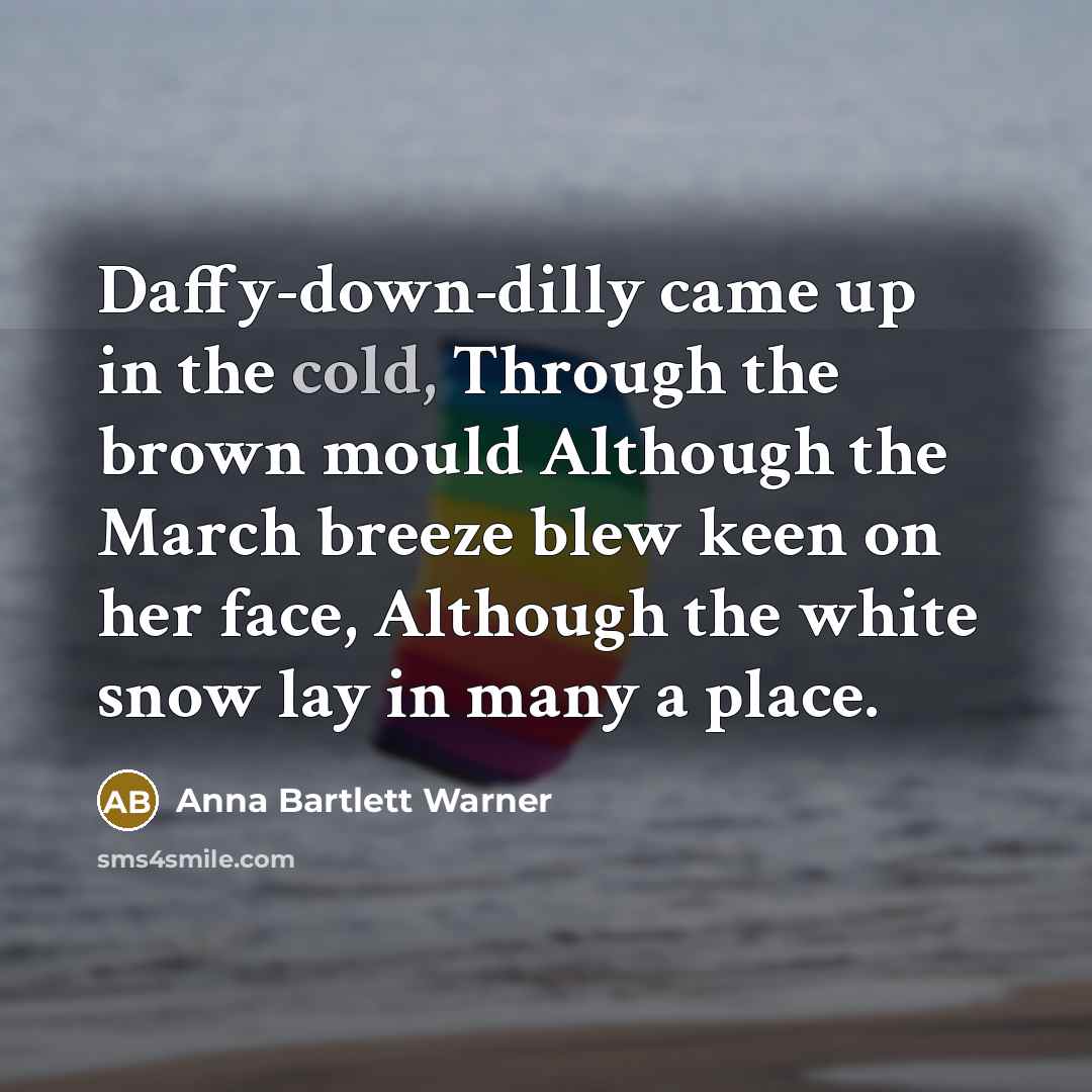 “Daffy-down-dilly came up in the cold, Through the brown mould…” quote by Anna Bartlett Warner