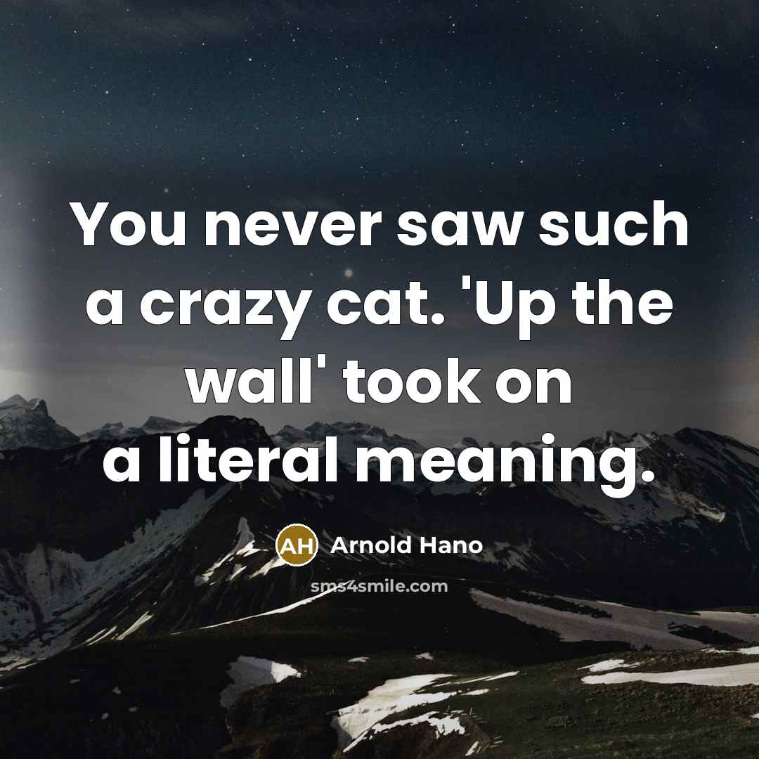“You never saw such a crazy cat. 'Up the wall'…” quote by Arnold Hano