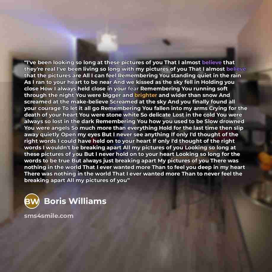 “I've been looking so long at these pictures of you That I almost believe that they're real I've been living so long with my pictures of you That I almost believe that the pictures are All I can feel Remembering You standing quiet in the rain As I ran to your heart to be near And we kissed as the…” quote by Boris Williams