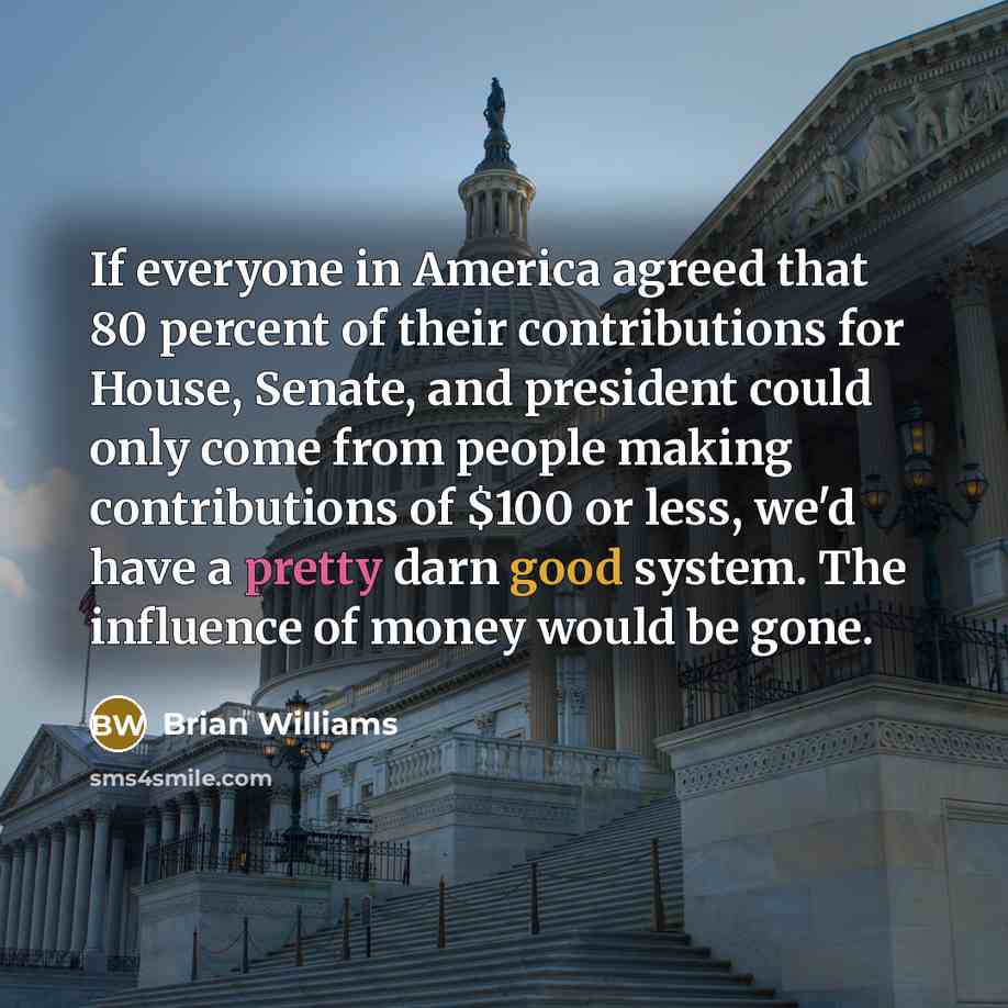 “If everyone in America agreed that 80 percent of their…” quote by Brian Williams
