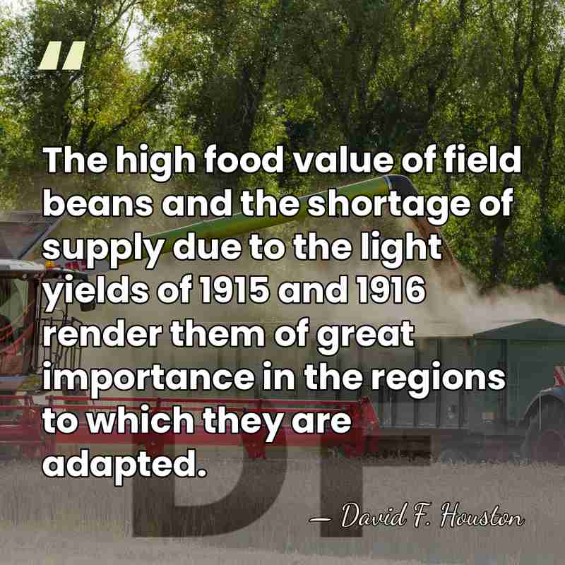 The high food value of field beans and the shortage of supply&hellip; - David F. Houston