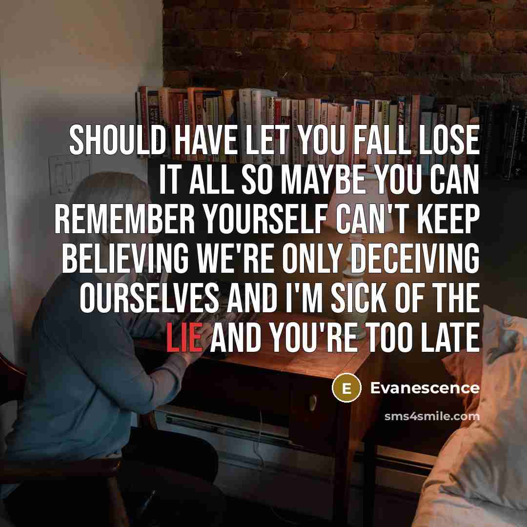 “Should have let you fall Lose it all So maybe you can remember yourself Can't keep believing We're only deceiving ourselves And I'm sick of the lie And you're too late” quote by Evanescence
