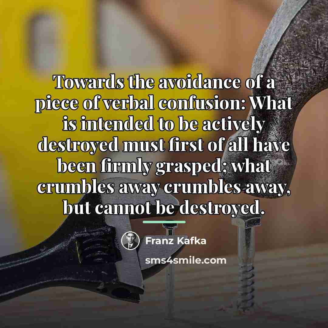 “Towards the avoidance of a piece of verbal confusion: What…” quote by Franz Kafka