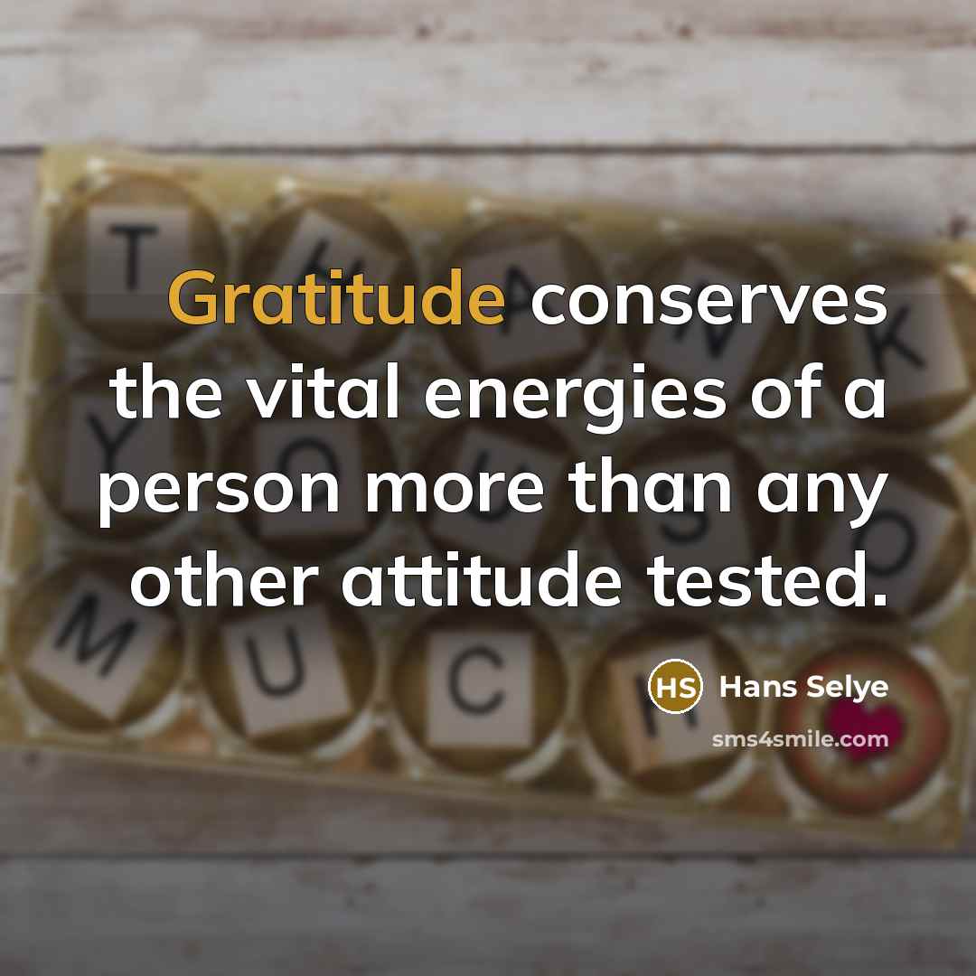 “Gratitude conserves the vital energies of a person more than…” quote by Hans Selye