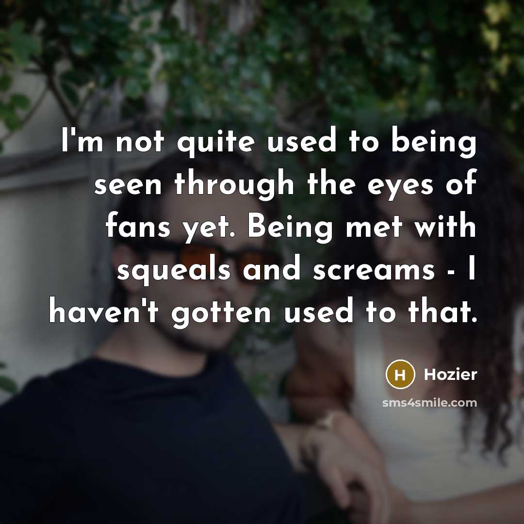 “I'm not quite used to being seen through the eyes…” quote by Hozier