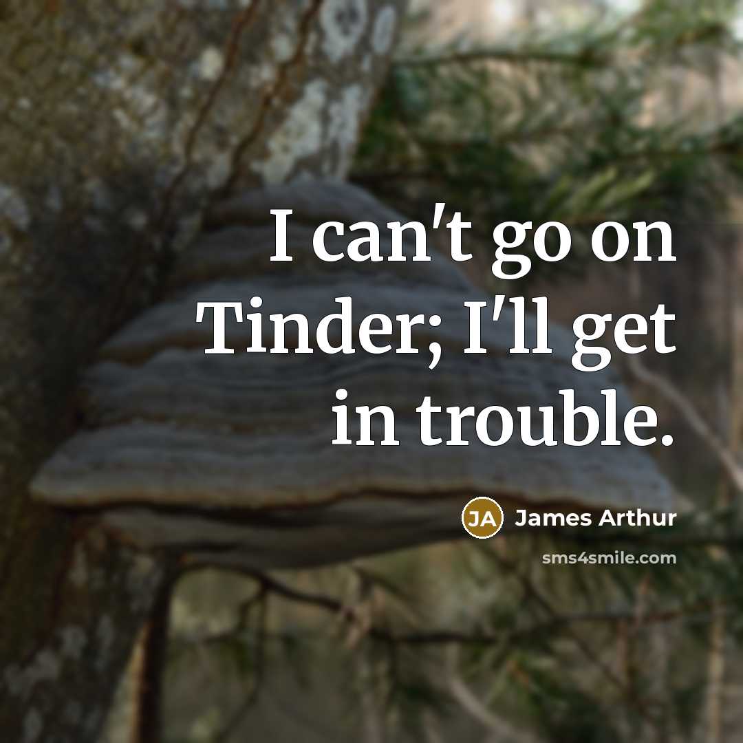 “I can't go on Tinder; I'll get in trouble.…” quote by James Arthur