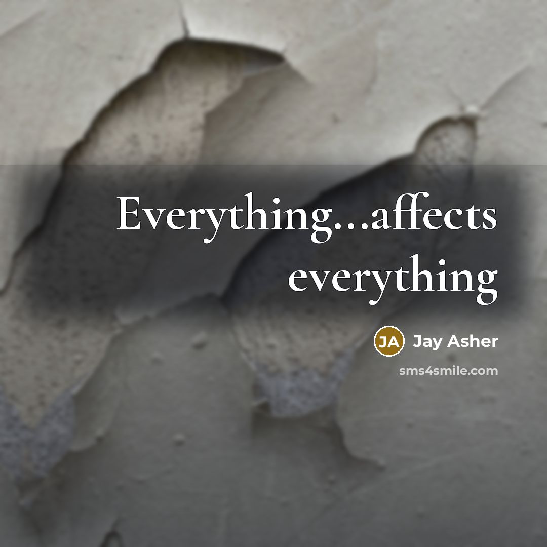 “Everything...affects everything” quote by Jay Asher