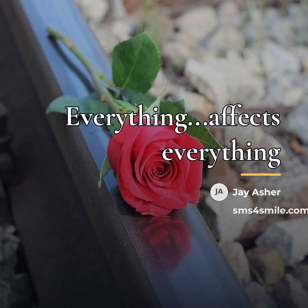 “Everything...affects everything…” quote by Jay Asher