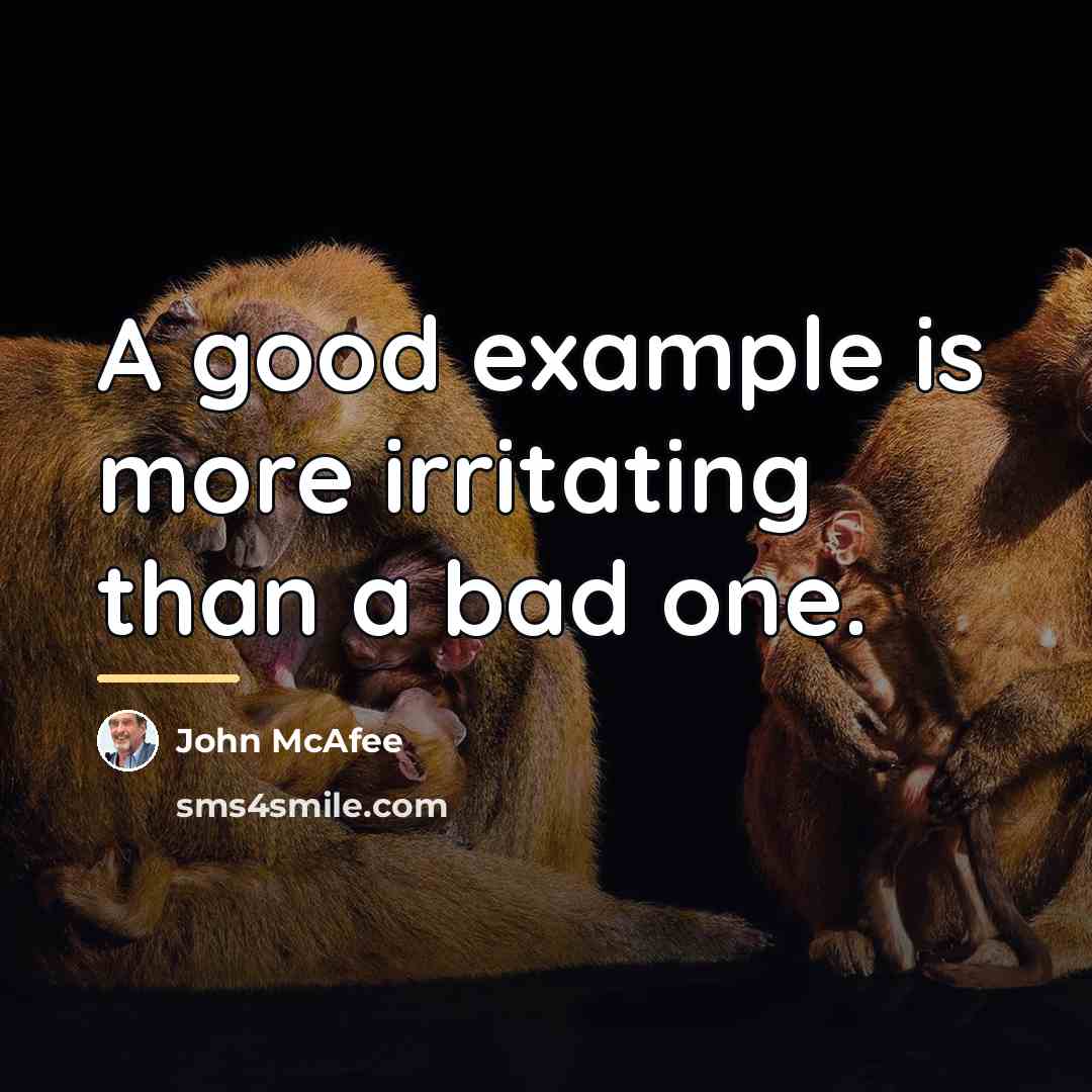 “A good example is more irritating than a bad one.…” quote by John McAfee