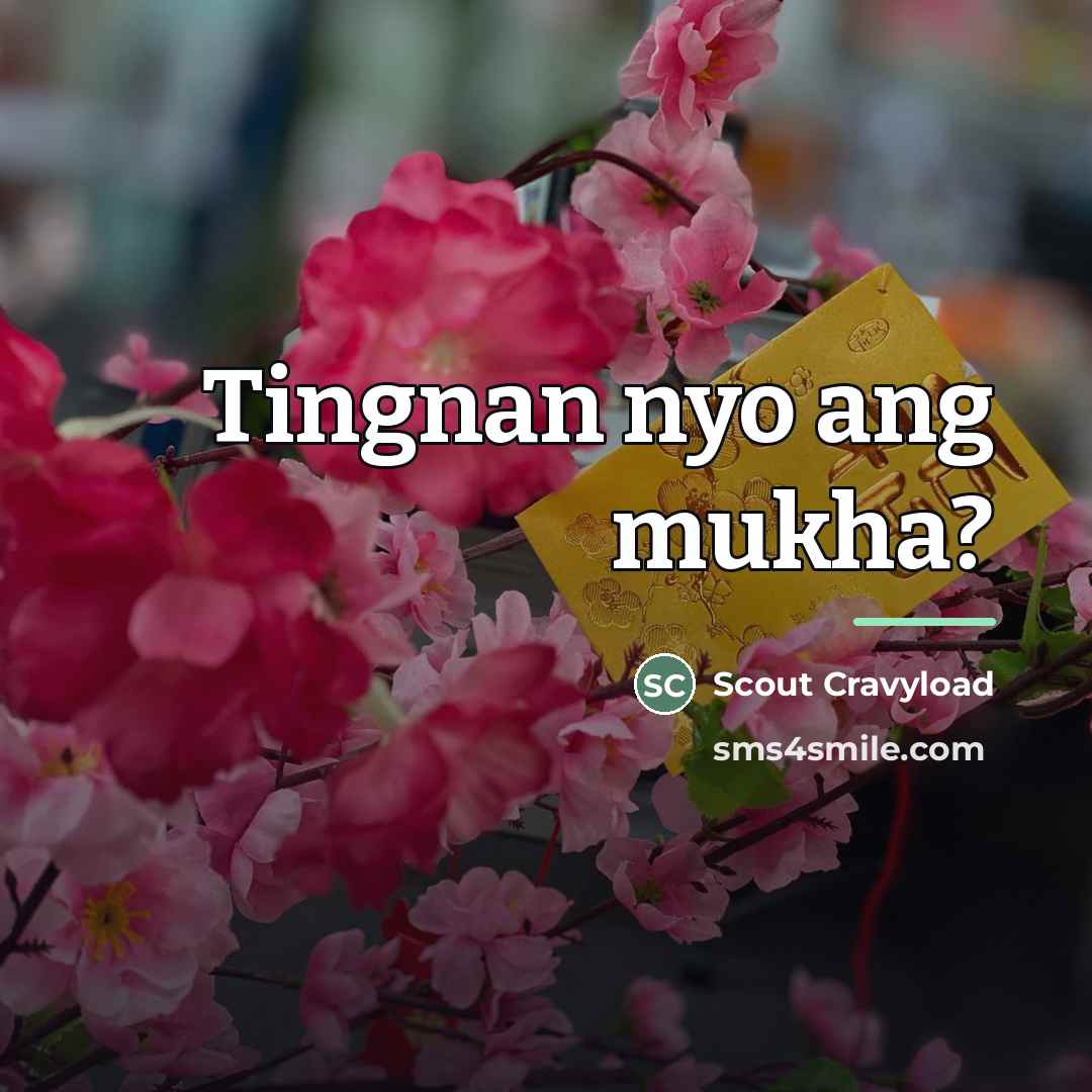 “Tingnan nyo ang mukha?…” quote by Scout Cravyload