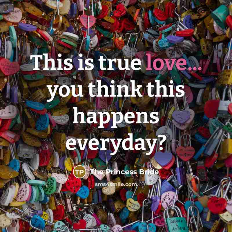 “This is true love... you think this happens everyday?…” quote by The Princess Bride