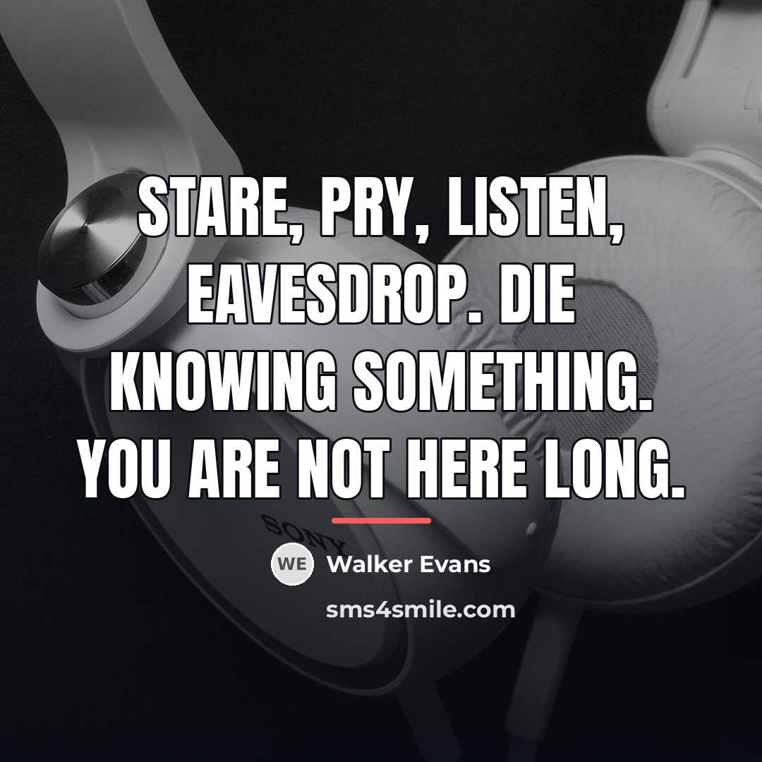 “Stare, pry, listen, eavesdrop. Die knowing something. You are not…” quote by Walker Evans