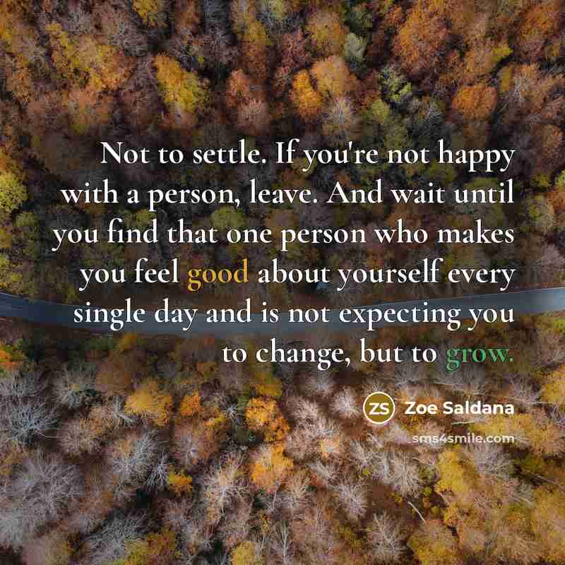 “Not to settle. If you're not happy with a person,…” quote by Zoe Saldana