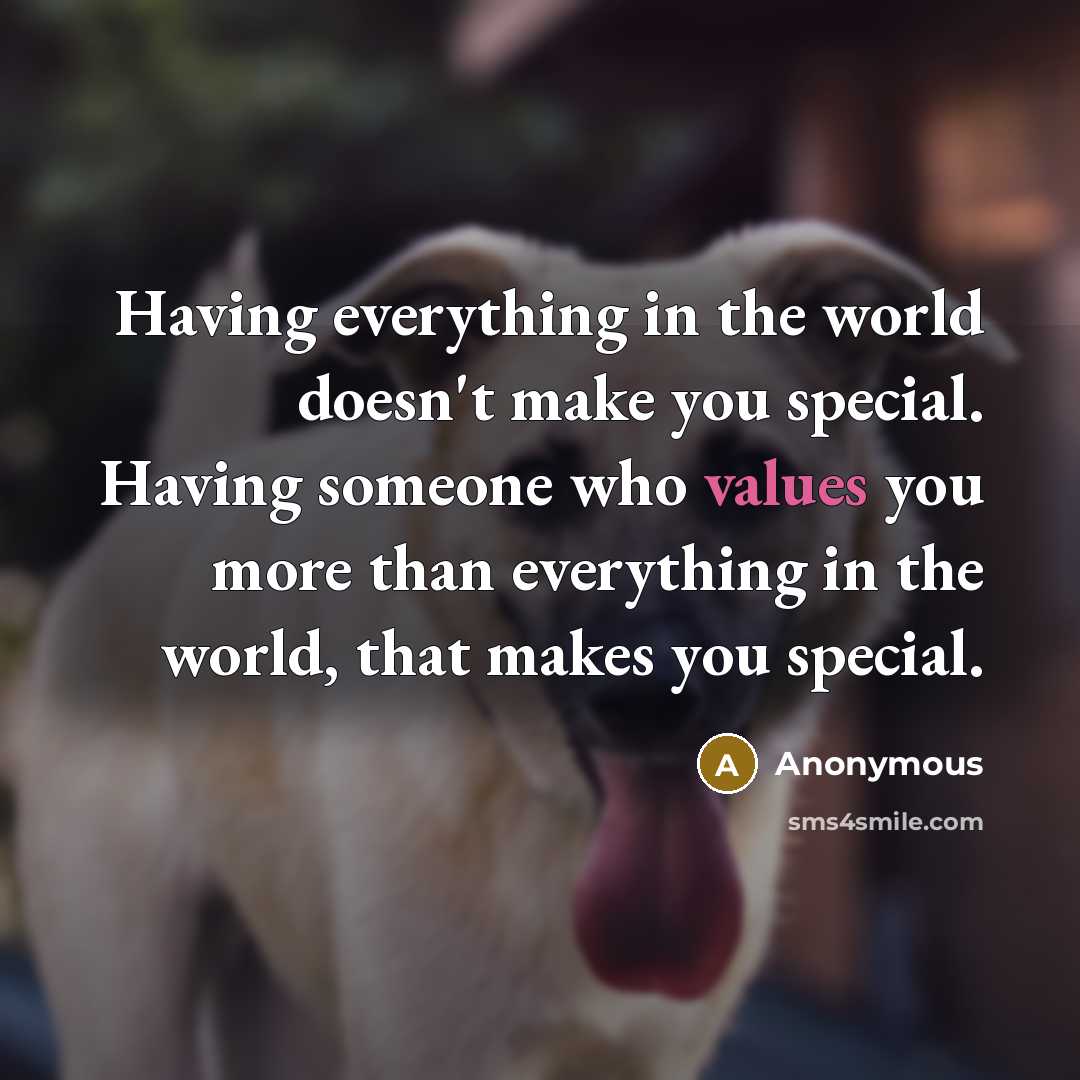 “Having everything in the world doesn't make you special. Having someone who values you more than everything in the world, that makes you special.” quote by Anonymous