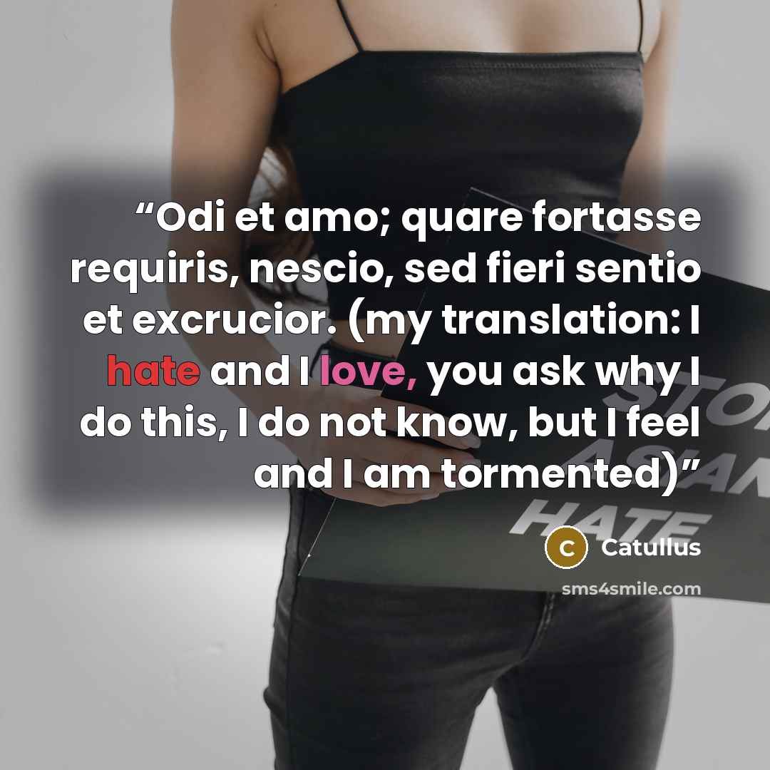 “Odi et amo; quare fortasse requiris, nescio, sed fieri sentio et excrucior. (my translation: I hate and I love, you ask why I do this, I do not know, but I feel and I am tormented)” quote by Catullus