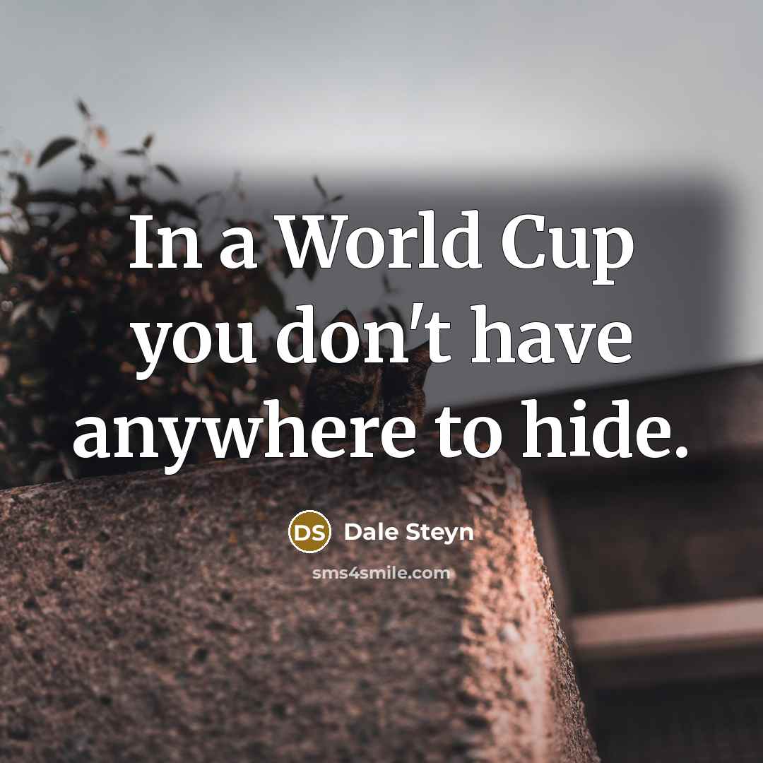 “In a World Cup you don't have anywhere to hide.…” quote by Dale Steyn
