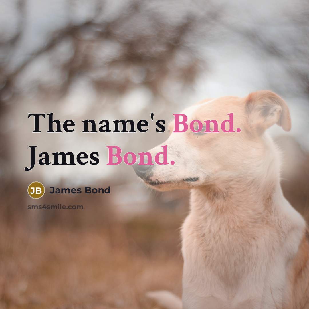 “The name's Bond. James Bond.” quote by James Bond