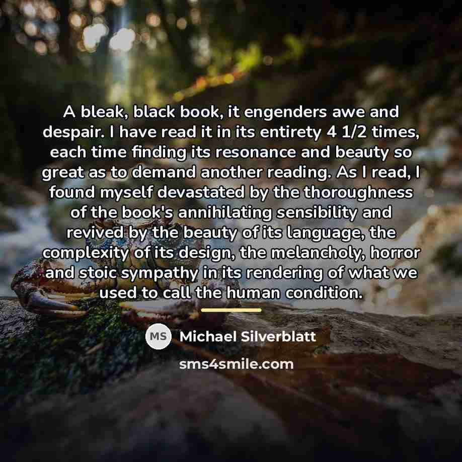 “A bleak, black book, it engenders awe and despair. I…” quote by Michael Silverblatt
