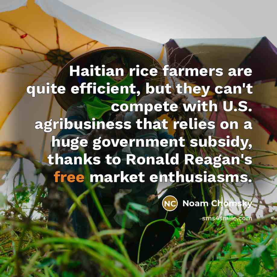 “Haitian rice farmers are quite efficient, but they can't compete…” quote by Noam Chomsky