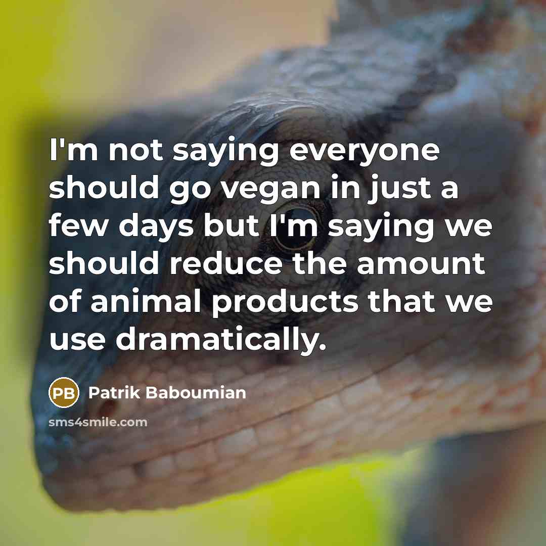 “I'm not saying everyone should go vegan in just a…” quote by Patrik Baboumian
