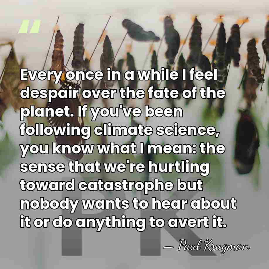 Every once in a while I feel despair over the fate of&hellip; - Paul Krugman