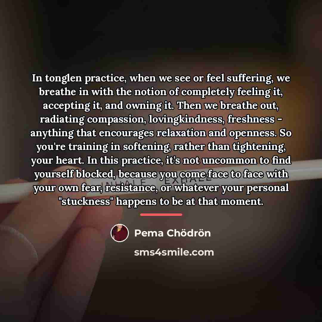 “In tonglen practice, when we see or feel suffering, we…” quote by Pema Chodron