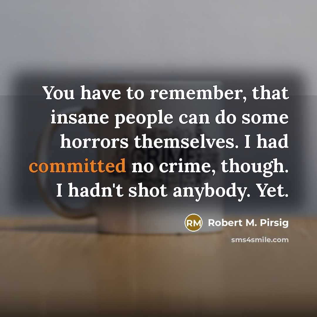“You have to remember, that insane people can do some…” quote by Robert M. Pirsig