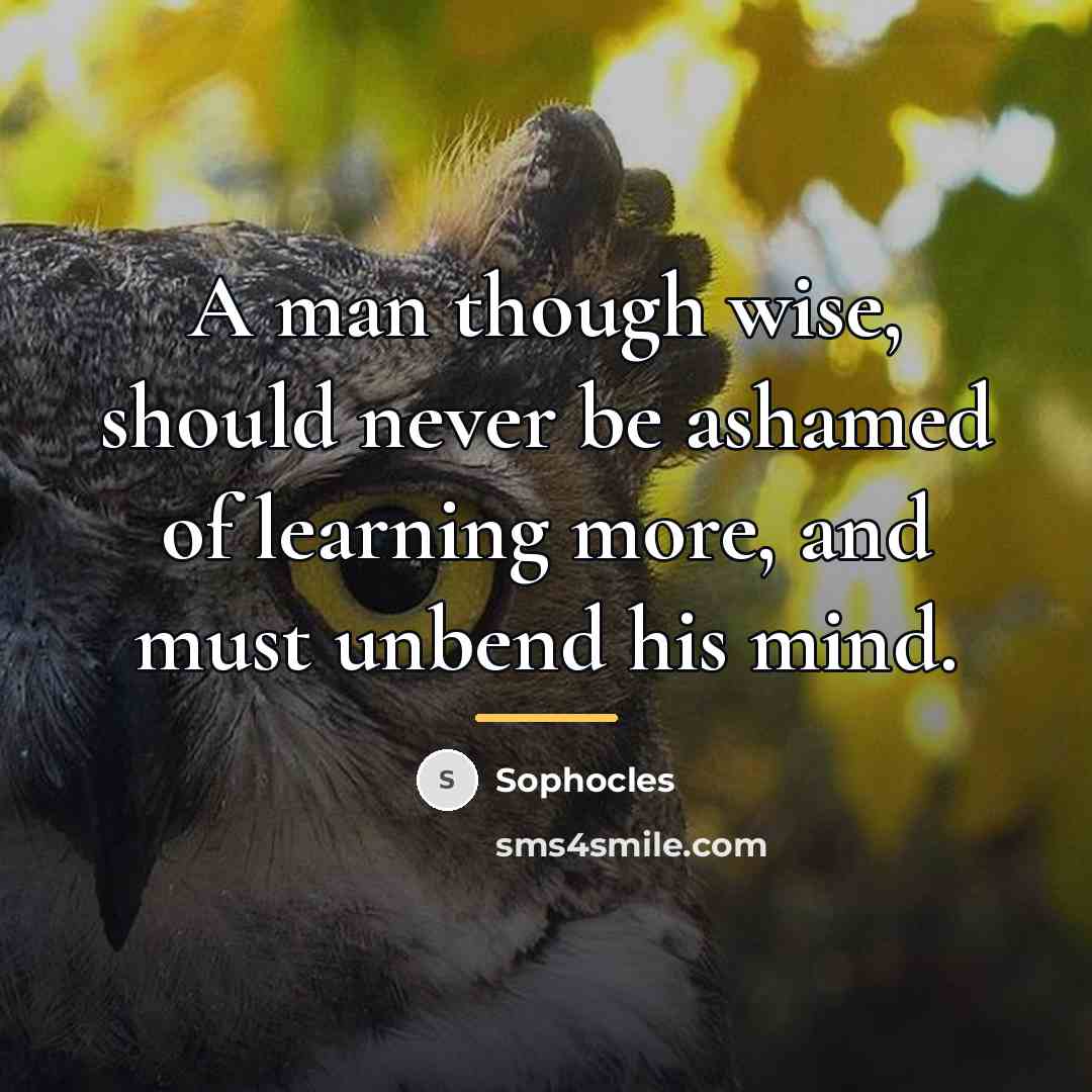 “A man though wise, should never be ashamed of learning…” quote by Sophocles