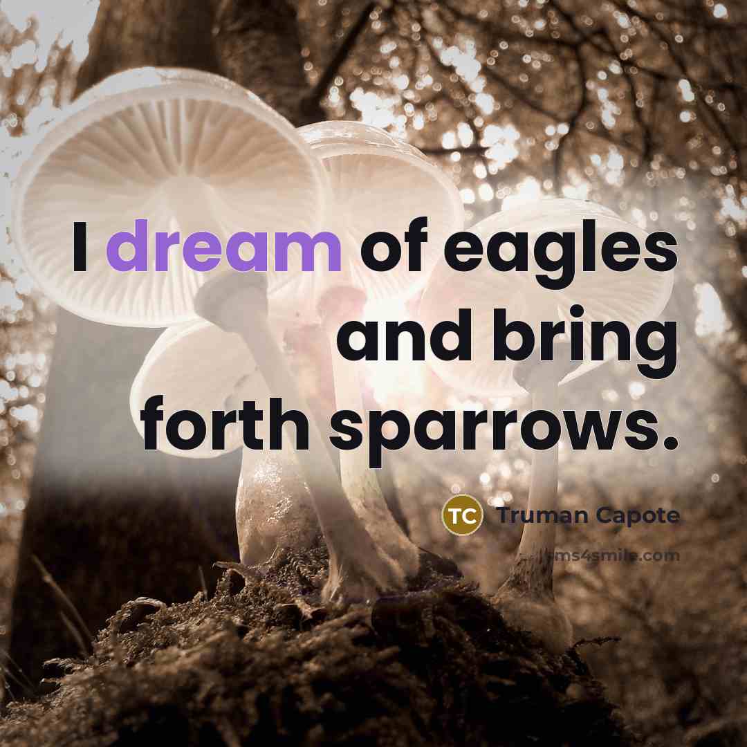 “I dream of eagles and bring forth sparrows.…” quote by Truman Capote