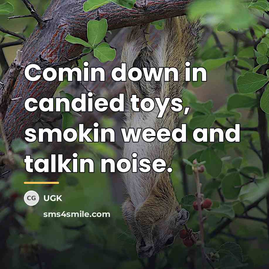 “Comin down in candied toys, smokin weed and talkin noise.…” quote by UGK