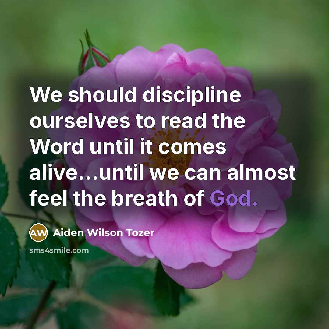 “We should discipline ourselves to read the Word until it…” quote by Aiden Wilson Tozer