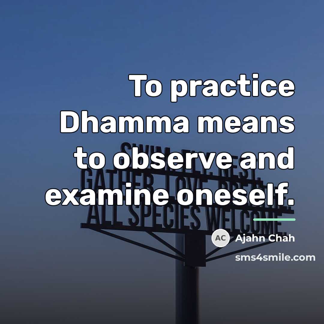 “To practice Dhamma means to observe and examine oneself.…” quote by Ajahn Chah