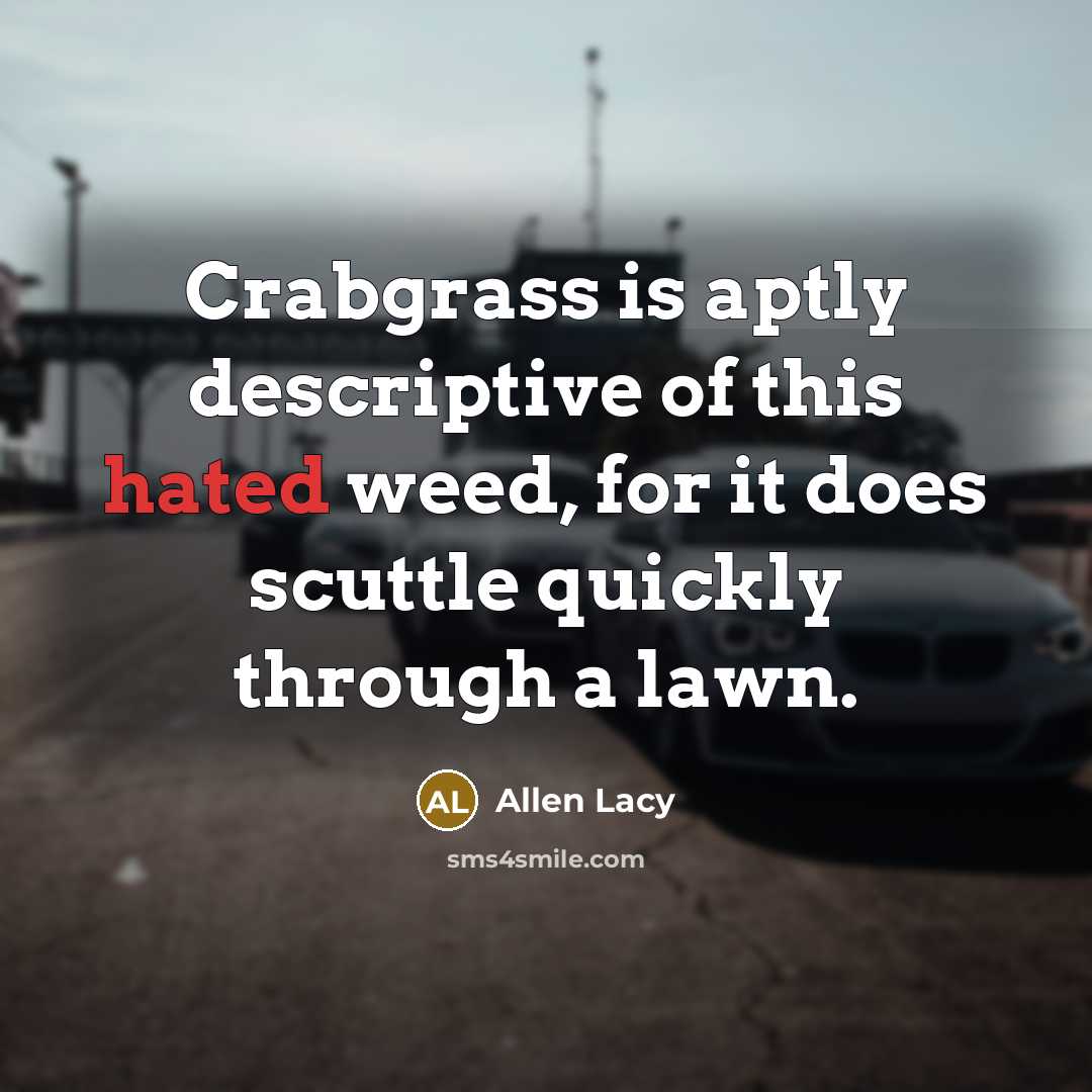 “Crabgrass is aptly descriptive of this hated weed, for it…” quote by Allen Lacy
