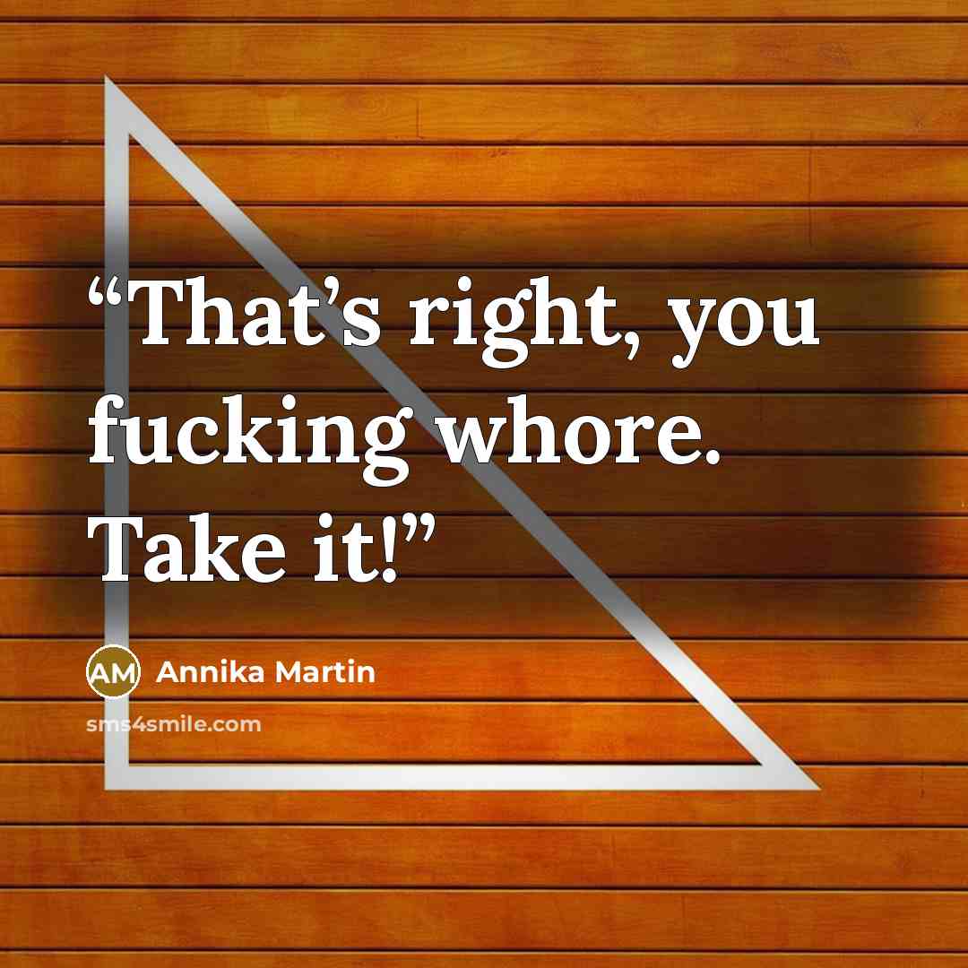“That’s right, you fucking whore. Take it!” quote by Annika Martin