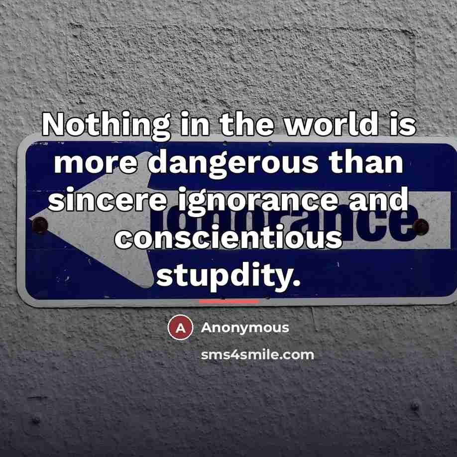 “Nothing in the world is more dangerous than sincere ignorance…” quote by Anonymous