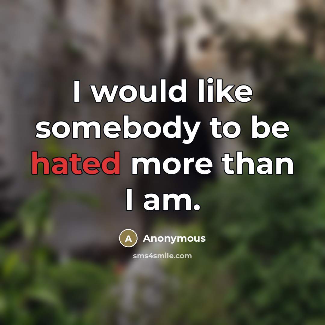 “I would like somebody to be hated more than I am.” quote by Anonymous