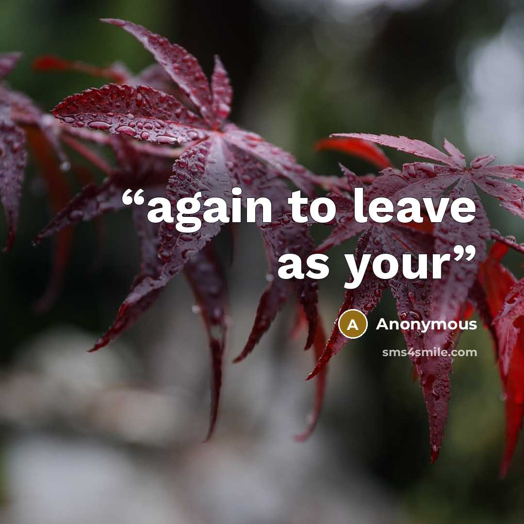 “again to leave as your” quote by Anonymous