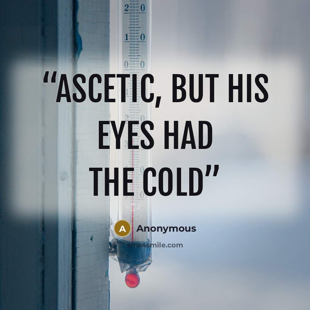 “ascetic, but his eyes had the cold” quote by Anonymous