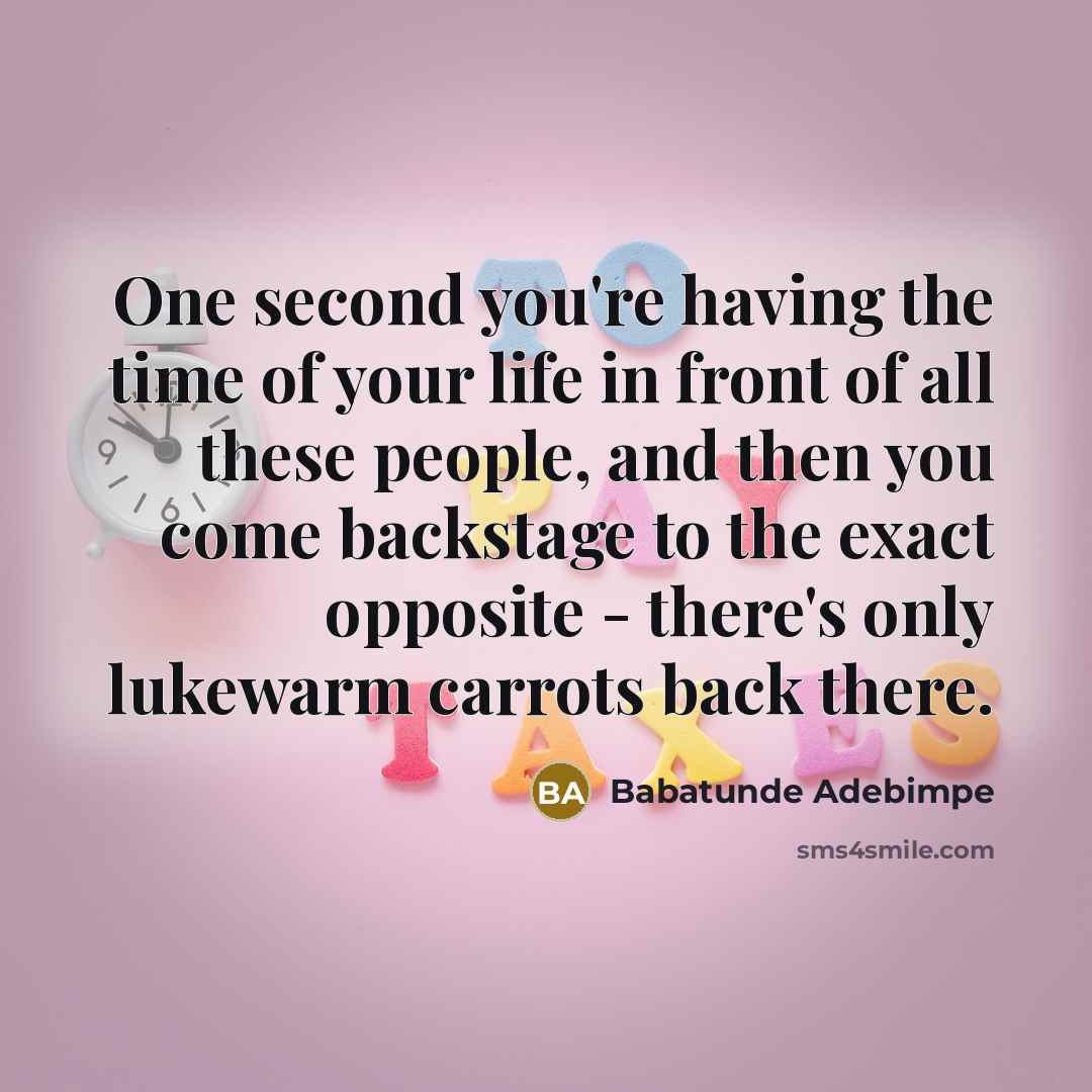 “One second you're having the time of your life in…” quote by Babatunde Adebimpe