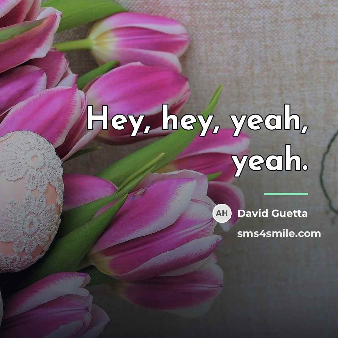 “Hey, hey, yeah, yeah.…” quote by David Guetta