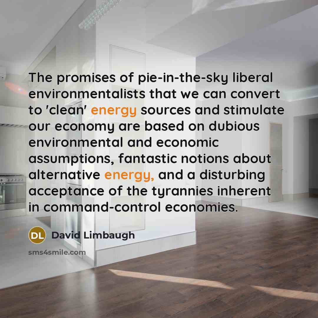 “The promises of pie-in-the-sky liberal environmentalists that we can convert…” quote by David Limbaugh
