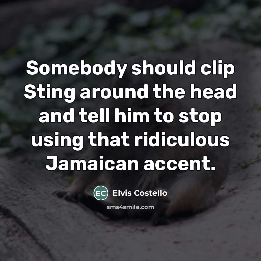 “Somebody should clip Sting around the head and tell him…” quote by Elvis Costello