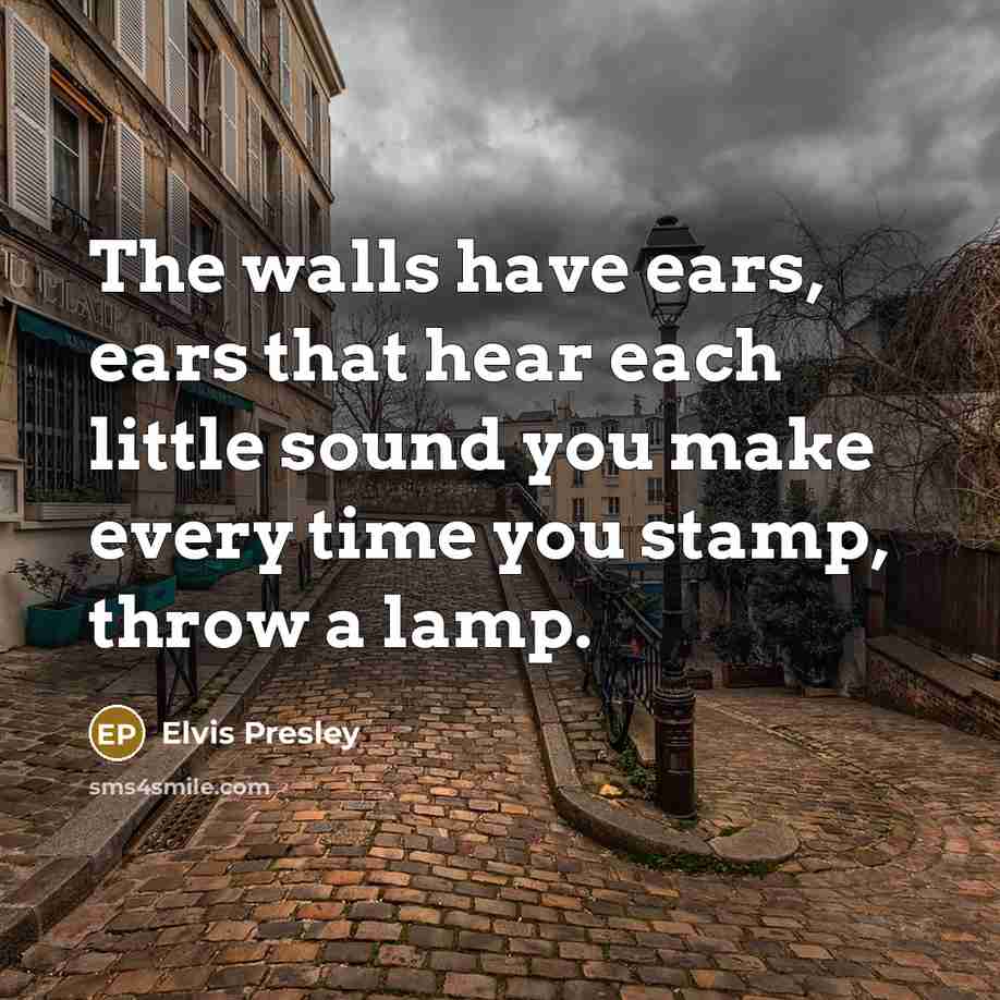 “The walls have ears, ears that hear each little sound…” quote by Elvis Presley