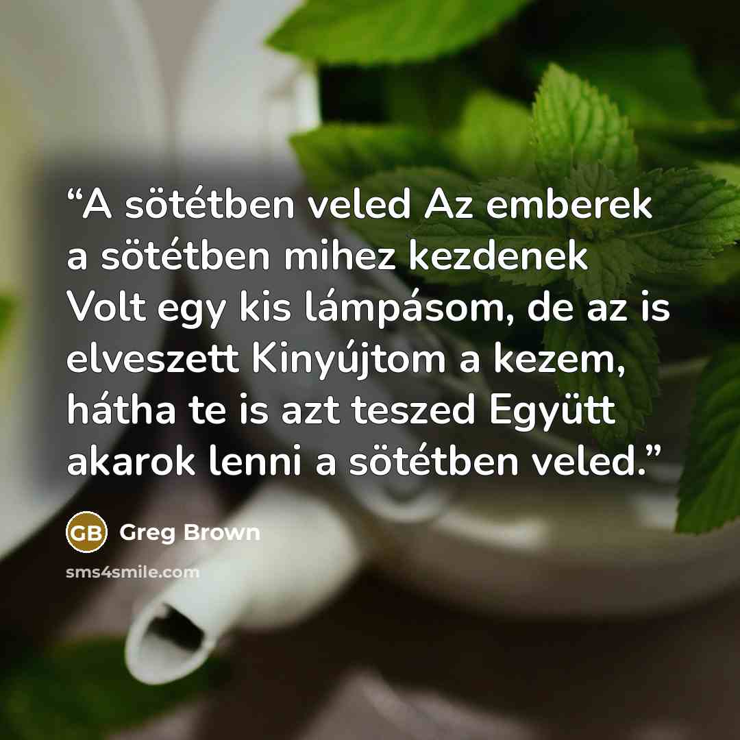 “A sötétben veled Az emberek a sötétben mihez kezdenek Volt egy kis lámpásom, de az is elveszett Kinyújtom a kezem, hátha te is azt teszed Együtt akarok lenni a sötétben veled.” quote by Greg Brown
