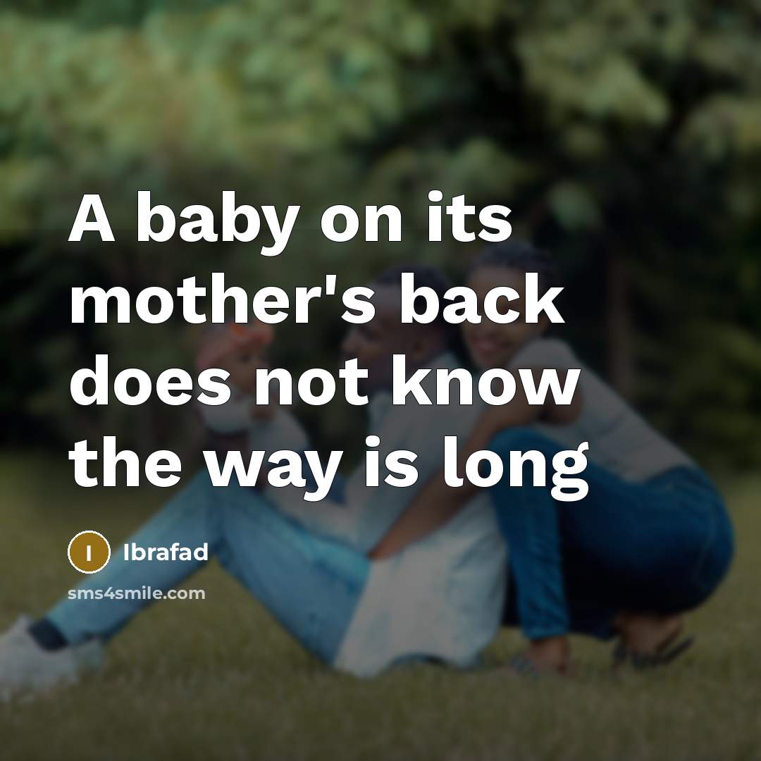 “A baby on its mother's back does not know the…” quote by Ibrafad